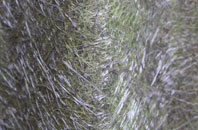 Beinn Casgro fibreglass roof work